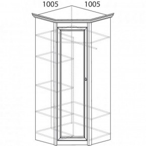 Шкаф угловой №662 "Флоренция" Фасад глухой (угол 1005*1005) Дуб оксфорд в Александровском - alexsandrovskoe.ok-mebel.com | фото 3