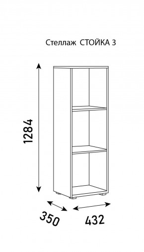 Стеллаж Стойка 3 в Александровском - alexsandrovskoe.ok-mebel.com | фото 5