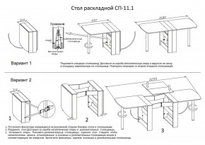 Стол обеденный СП-11.1 в Александровском - alexsandrovskoe.ok-mebel.com | фото 4