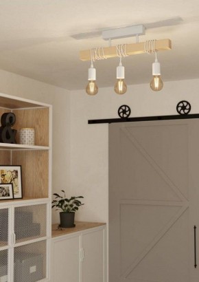 Светильник на штанге Eglo TOWNSHEND 44082 в Александровском - alexsandrovskoe.ok-mebel.com | фото 2