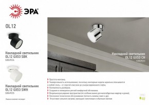 Светильник на штанге Эра OL12 GX53 CH Б0049030 в Александровском - alexsandrovskoe.ok-mebel.com | фото 3