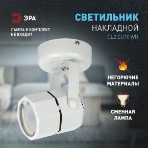 Светильник на штанге Эра OL2 GU10 WH Б0044259 в Александровском - alexsandrovskoe.ok-mebel.com | фото 3