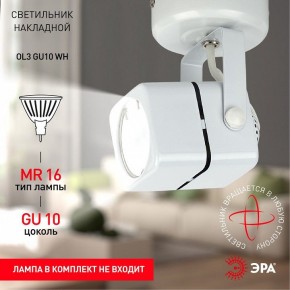 Светильник на штанге Эра OL3 GU10 WH Б0044263 в Александровском - alexsandrovskoe.ok-mebel.com | фото 5