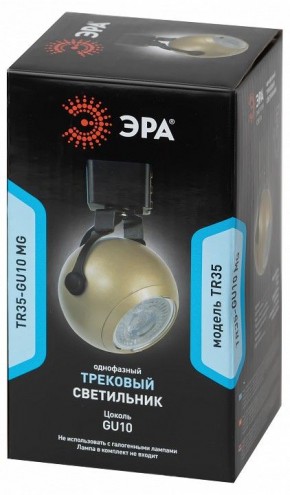 Светильник на штанге Эра  TR35-GU10 MG в Александровском - alexsandrovskoe.ok-mebel.com | фото 4