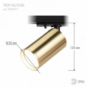 Светильник на штанге Эра  TR39-GU10 BS в Александровском - alexsandrovskoe.ok-mebel.com | фото 6