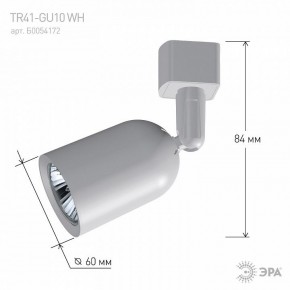 Светильник на штанге Эра  TR41-GU10 WH в Александровском - alexsandrovskoe.ok-mebel.com | фото 9