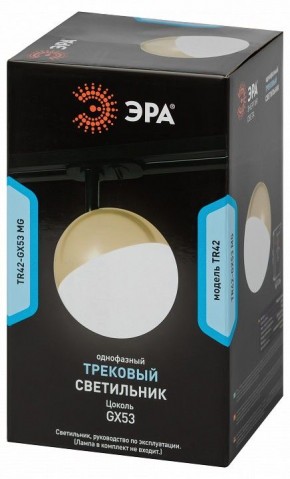 Светильник на штанге Эра  TR42-GX53 MG в Александровском - alexsandrovskoe.ok-mebel.com | фото 6