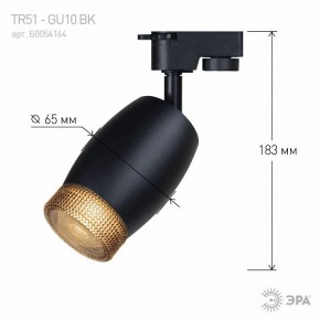Светильник на штанге Эра  TR51 - GU10 BK в Александровском - alexsandrovskoe.ok-mebel.com | фото 4