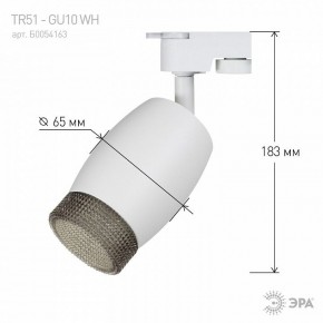 Светильник на штанге Эра  TR51 - GU10 WH в Александровском - alexsandrovskoe.ok-mebel.com | фото 4