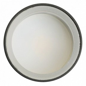 Светильник на штанге Feron ML1001 51371 в Александровском - alexsandrovskoe.ok-mebel.com | фото 4