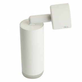 Светильник на штанге Feron ML1021 51390 в Александровском - alexsandrovskoe.ok-mebel.com | фото 3