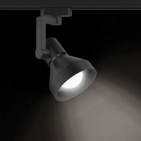 Светильник на штанге Gauss Track Light TR005 в Александровском - alexsandrovskoe.ok-mebel.com | фото 2