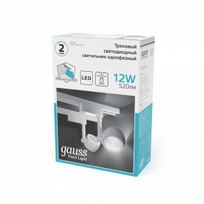 Светильник на штанге Gauss Track Light TR054 в Александровском - alexsandrovskoe.ok-mebel.com | фото 5
