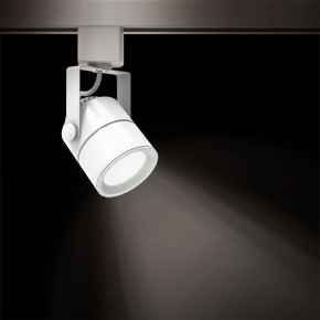 Светильник на штанге Gauss Track Light TR057 в Александровском - alexsandrovskoe.ok-mebel.com | фото 2