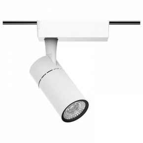 Светильник на штанге Gauss Track Light TR059 в Александровском - alexsandrovskoe.ok-mebel.com | фото