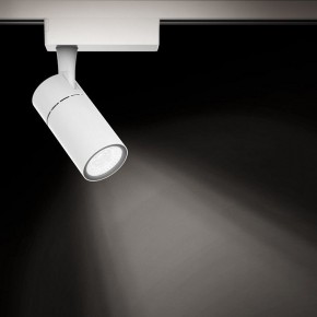 Светильник на штанге Gauss Track Light TR059 в Александровском - alexsandrovskoe.ok-mebel.com | фото 2