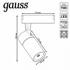 Светильник на штанге Gauss Track Light TR060 в Александровском - alexsandrovskoe.ok-mebel.com | фото 5