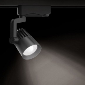 Светильник на штанге Gauss Track Light TR061 в Александровском - alexsandrovskoe.ok-mebel.com | фото 2