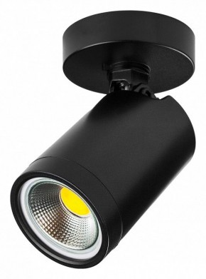 Светильник на штанге Lightstar Rullo 213407 в Александровском - alexsandrovskoe.ok-mebel.com | фото