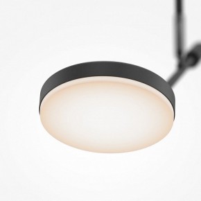 Светильник на штанге Maytoni Fad MOD070CL-L8B3K в Александровском - alexsandrovskoe.ok-mebel.com | фото 4
