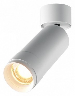 Светильник на штанге Maytoni Focus Zoom C055CL-L12W2.7K-Z-W в Александровском - alexsandrovskoe.ok-mebel.com | фото