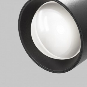 Светильник на штанге Maytoni Lens TR217-4-15WTW-DD-B в Александровском - alexsandrovskoe.ok-mebel.com | фото 12