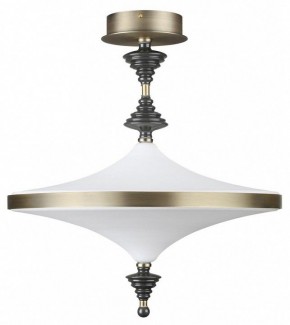 Светильник на штанге Odeon Light Ula 5404/43CL в Александровском - alexsandrovskoe.ok-mebel.com | фото