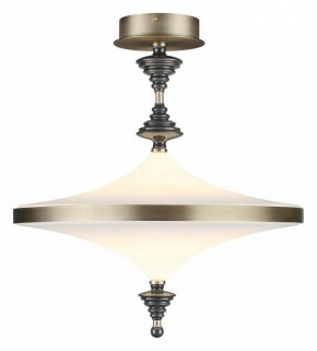 Светильник на штанге Odeon Light Ula 5404/43CL в Александровском - alexsandrovskoe.ok-mebel.com | фото 2