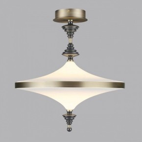 Светильник на штанге Odeon Light Ula 5404/43CL в Александровском - alexsandrovskoe.ok-mebel.com | фото 3
