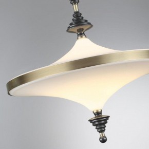 Светильник на штанге Odeon Light Ula 5404/43CL в Александровском - alexsandrovskoe.ok-mebel.com | фото 6