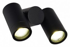 Светильник на штанге ST-Luce Ecollo SL9011.402.02 в Александровском - alexsandrovskoe.ok-mebel.com | фото 3
