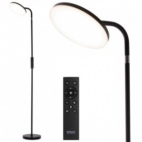 Торшер Citilux SOLO CL804061 в Александровском - alexsandrovskoe.ok-mebel.com | фото 2