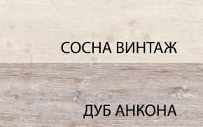 Тумба RTV 1D2SN, MONAKO, цвет Сосна винтаж/дуб анкона в Александровском - alexsandrovskoe.ok-mebel.com | фото 3