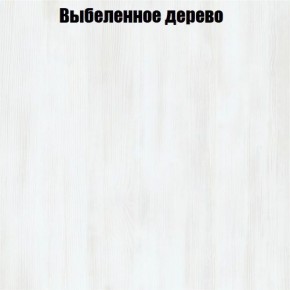 Вешалка V2 в Александровском - alexsandrovskoe.ok-mebel.com | фото 4