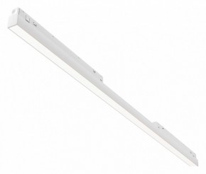 Встраиваемый светильник Maytoni Basis TR030-4-30WTW-DD2-W в Александровском - alexsandrovskoe.ok-mebel.com | фото